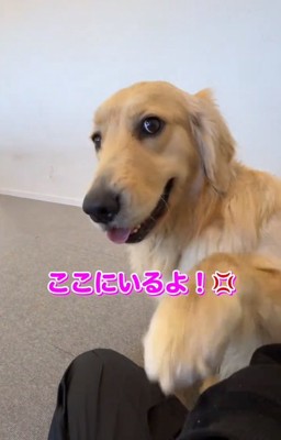 パンチするちあちゃん