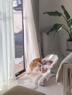 朝のルーティーン