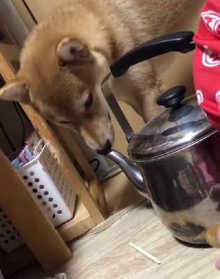 遊んでいたのは…