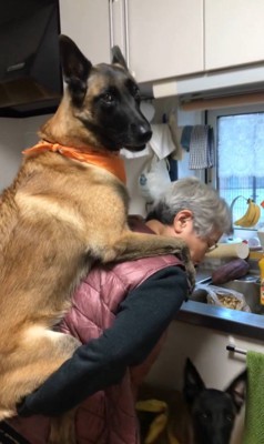 おんぶしてもらうウルルちゃん&シオンちゃん5