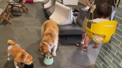 またブランコに♪