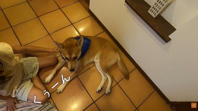 お姉ちゃんが慰めても、悲しげなお顔のまま