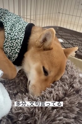 むちゃむちゃ…