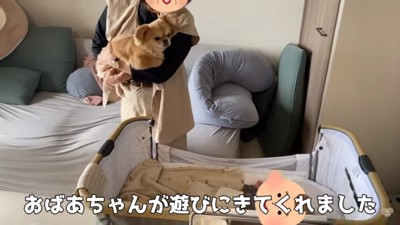 おばあちゃんに抱っこされるハナちゃん