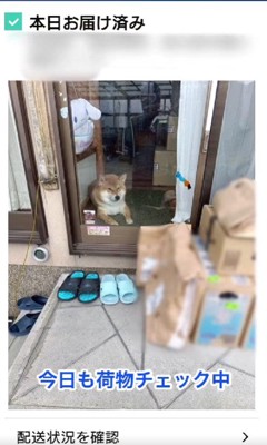 荷物以上に目立ってる！！