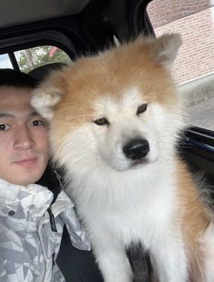 人の隣に座る犬