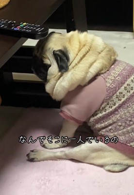 まるで子どもみたい!!