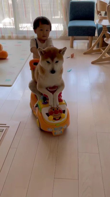 仲良しな赤ちゃんと犬