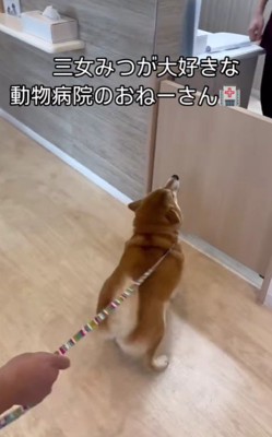 名前を呼ばれたら…