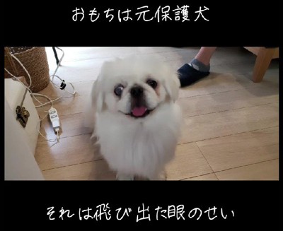 眼球突出のせいで…