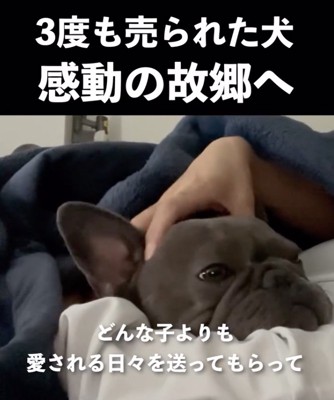 一緒にまったり