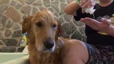 薬用シャンプーを使ってケアします