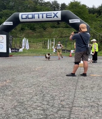 走る飼い主と犬