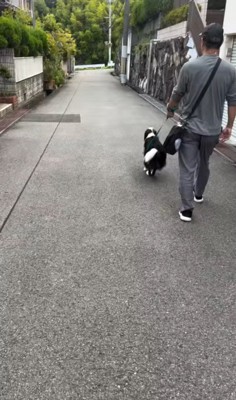 おじさんとお散歩中のルナちゃん