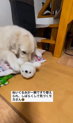 モカさんのぬいぐるみをすり替えるサランちゃん6