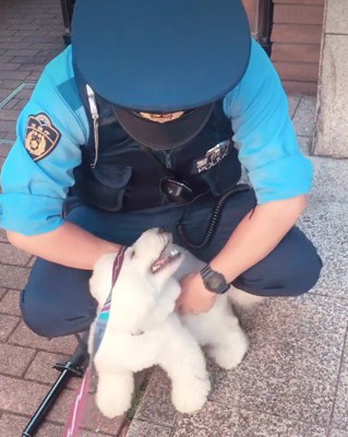 何度もクルクル回る