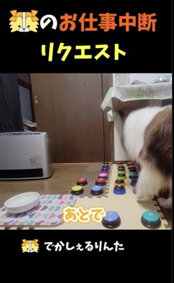 お仕事を後にしてほしいよう