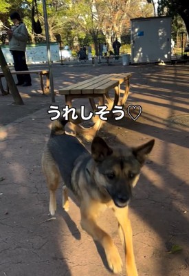 嬉しそうなカッパちゃん