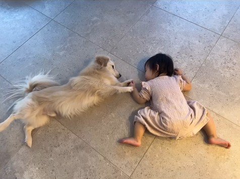 最近のこたつ君と赤ちゃん