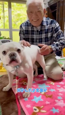 犬を撫でる男性