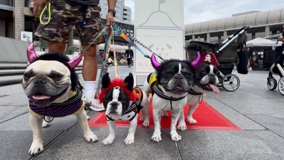 一緒にお出かけ