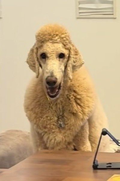 愛嬌たっぷりの笑顔♪