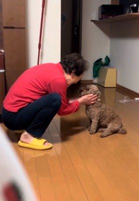 顔周りを撫でる