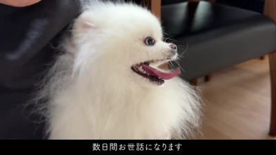 幸せな夏の思い出