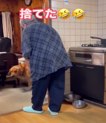 ポーチを置いた犬