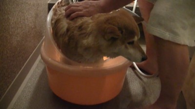 でもじっと耐えています！