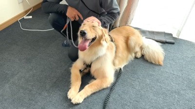 口輪をしていないアトムくん