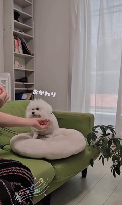 弾き語りを聴くメロンさん8