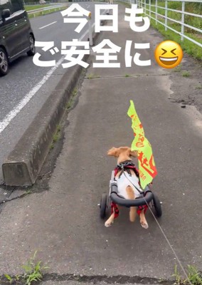 安全運転で一生懸命前進！