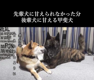 甘えん坊なハルヱちゃんの過去と現在⑩