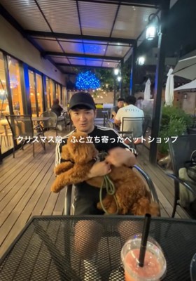 膝の上で過ごす犬2