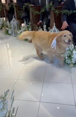 「この辺でいいかな？」