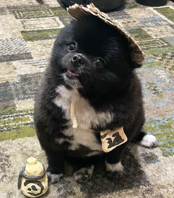 「信楽焼のたぬき」