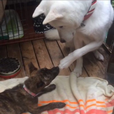 リキくんとすずちゃん2