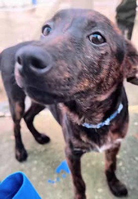 こんなに成長したよ!!