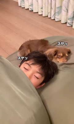 遊び疲れて寝るアムくんと男の子3