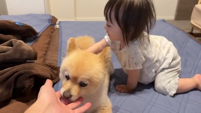 「わたしももっとナデナデする!」