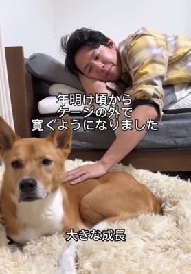 クッションで寛ぐ明智くん