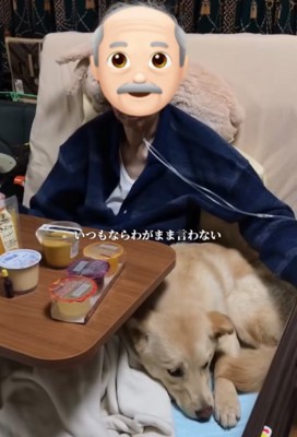 隣でくつろぐ犬
