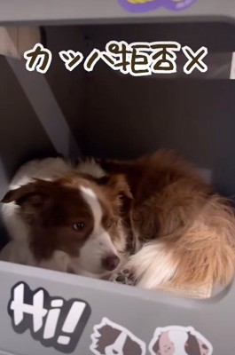 「私もお断り…」