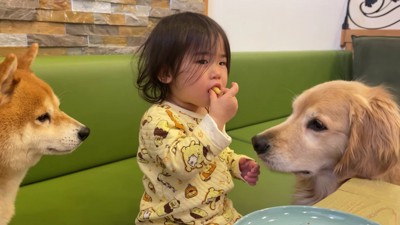 みんなで家族旅行へ