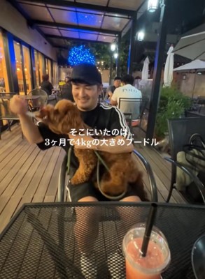 膝の上で遊ぶノアくん