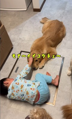 犬3匹を撫でる男の子5