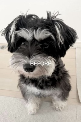 トリミングbefore