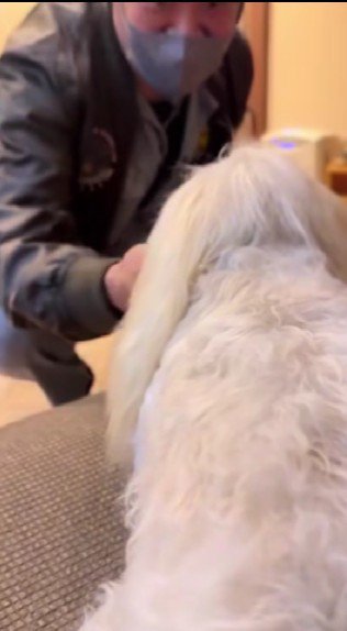 驚きの表情を浮かべていた