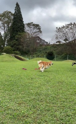 ママに着いていっちゃった!